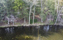 Lot 18 WISTFUL VISTA RD, White Lake, WI 54491