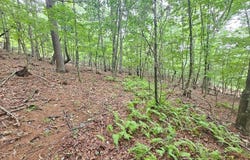 Tbd Mallard Ln, Fries, VA 24330