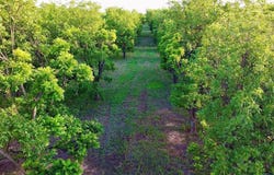 Tbd2 Fm-2318, De Leon, TX 76444