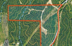 1631 Reich Road, Golden, MS 38847