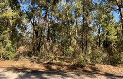 OBrien, FL 32071