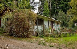 19151 Pine Tree Lane, Fort Bragg, CA 95437