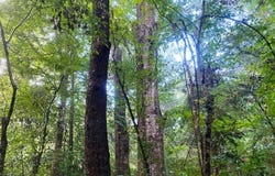 734 Epley Road, Sumrall, MS 39482
