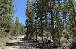 Off NF 9768, Crescent, OR 97730