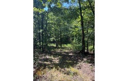 Tract 1 SE 1083 Road Ave., Red Oak, OK 74563