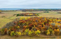 Tract I 175th Avenue, Park Rapids, MN 56470