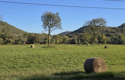 TBD W School House Hollow Road, Melbourne, AR 72556