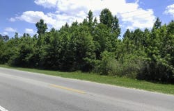 NW County Road 12, Bristol, FL 32321