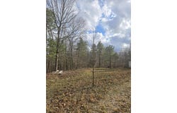 County Road T-435, Birch Tree, MO 65438