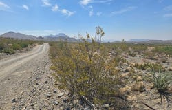 4701 Gate 4 Rd, Terlingua, TX 79852