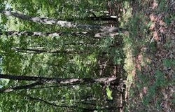 176 ABBEY Court NE, Ranger, GA 30734