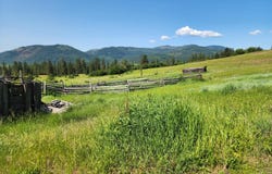 Xxx Hall Creek Rd, Inchelium, WA 99138