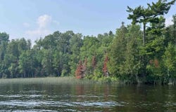 TBD Lake Vermilion N, Tower, MN 55790