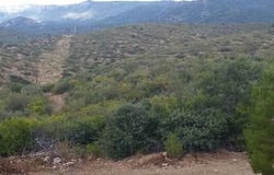 8470-256 W Webster Road, Wilhoit, AZ 86332