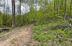 Rt 41 Mill St., Mill Creek, WV 26280