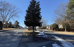 105 Navajo Trail, Maumelle, AR 72113