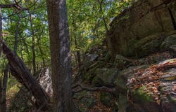 1282 CR 461, Gorman, TX 76454