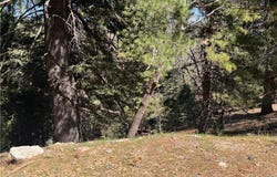 Mid Ln, Twin Peaks, CA 92391