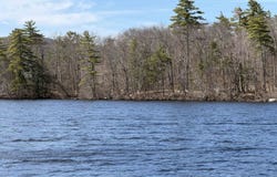 65.4 Gansy Island, Moultonborough, NH 03254