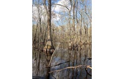 County Road 420, MS 38944