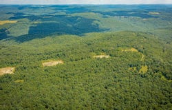 00 Rex Road, Clinton, AR 72031