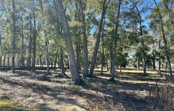 202 Harborview Drive, Beaufort, SC 29907