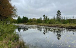 448 Autumn Road, Cadillac, MI 49601