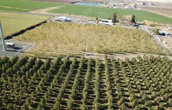 1601 Lateral B Rd, Wapato, WA 98951
