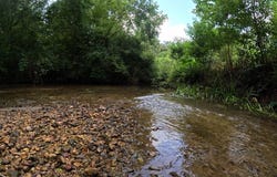 1608 Highway 586, Foxworth, MS 39483
