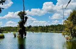 LOT 8 NW 31ST CIRCLE, Jennings, FL 32053