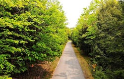 5945 Lodgepole Road, Harbor Springs, MI 49740