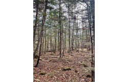 Foothills Drive lot: 20-R, Jay, VT 05859