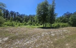 Edgar Lane Road, Millen, GA 30442