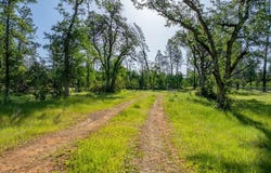 Lot 3 Silver King, Redding, CA 96001