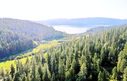 NKA Deer Rd, Harrison, ID 83833