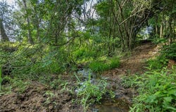 Tbd Red Rock Road, Franklin, TX 77856