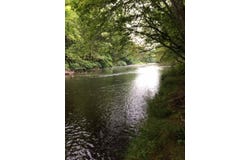 na hasbrouk drive, Woodbourne, NY 12788