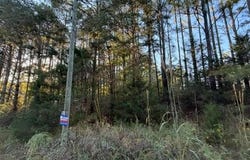 COUNTY RD 185, Haleyville, AL 35565