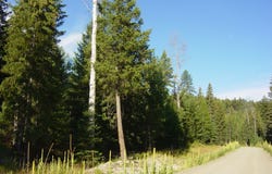 NHN ACM Road S, Libby, MT 59923