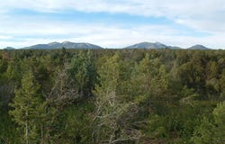 De Oro Way, Hesperus, CO 81326