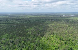 Vacant Old Federal Road, Quincy, FL 32351