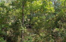 Bell Drive, Creola, AL 36525