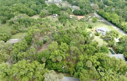 7343 LAKE OLA DRIVE, MOUNT DORA, FL 32757