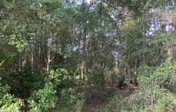 APPALOOSA Drive, Interlachen, FL 32148