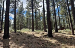 546 Pleasant Valley Road, Markleeville, CA 96120