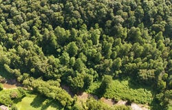 4609 Greasy Creek Road, Stinnett, KY 40868