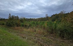 E Highway 378, McCormick, SC 29835