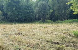 Shaffer Road N, Randolph, OH 44632