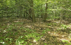 466 Broome Center Road, Broome, NY 12469
