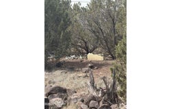 8549 Antelope Drive, Show Low, AZ 85901